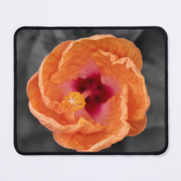 Item preview, Orange Hibiscus designed and sold by Boujiee-Boutique.