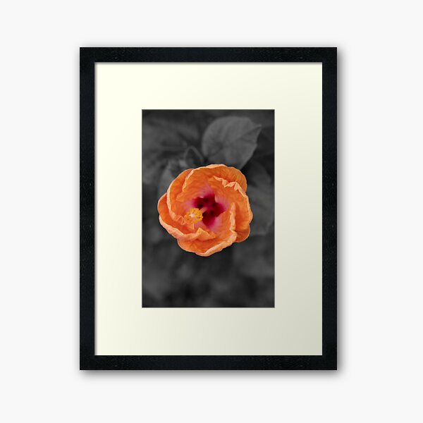 Aperçu de l'œuvre Hibiscus orange créée et vendue par Boujiee-Boutique.