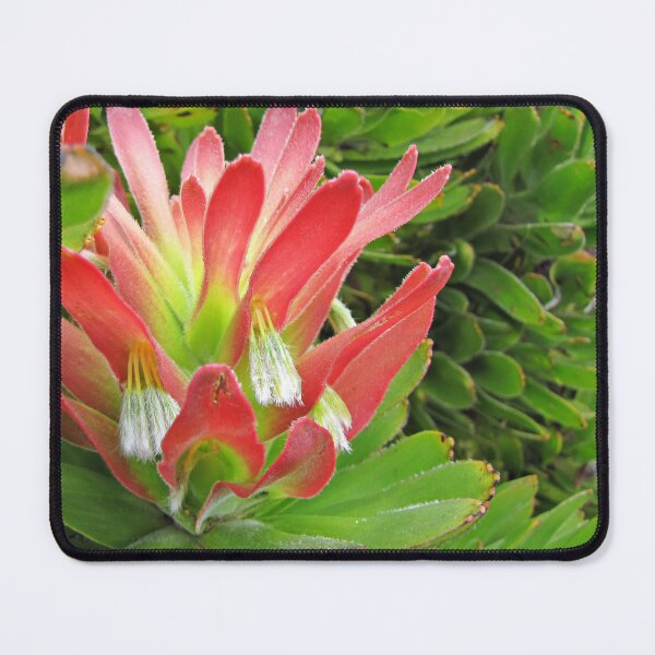 Item preview, Mimetes style! designed and sold by BiodiversityRocks.