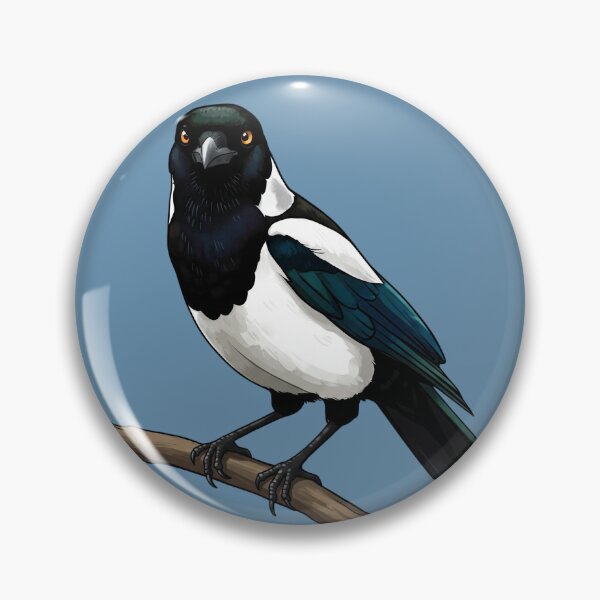 Item preview, Magpie looking at you designed and sold by GrahamBaxter.