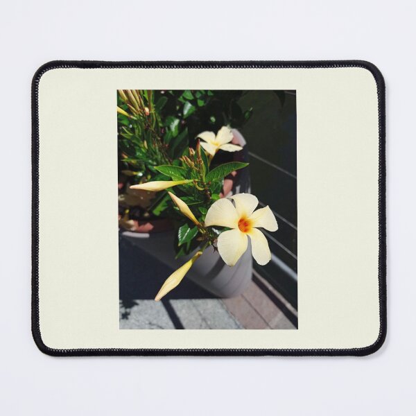 Item preview, Creamy Flowers designed and sold by ViewBites.
