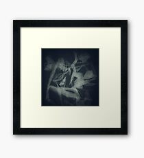 Tulip background Framed Print