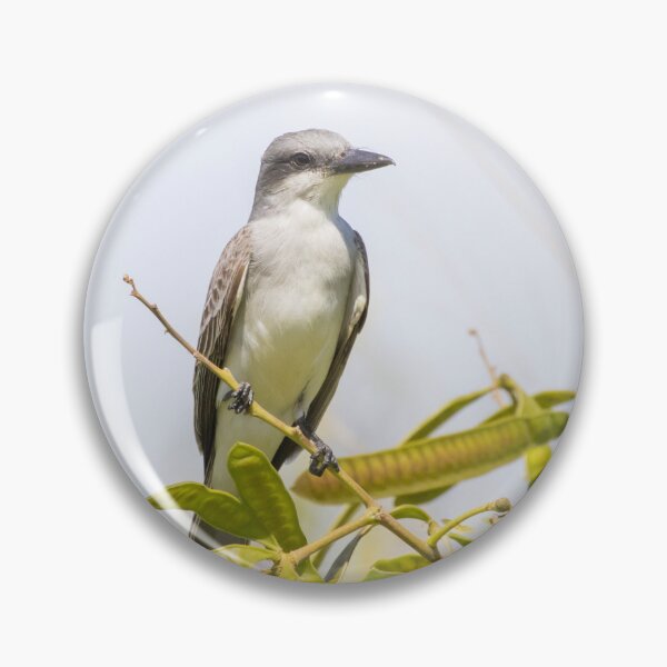 Item preview, Grey Kingbird designed and sold by LaurenTucker.