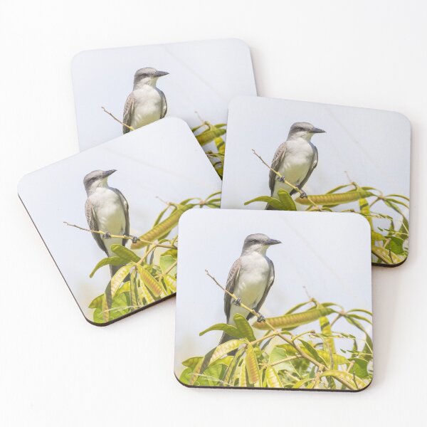Item preview, Grey Kingbird designed and sold by LaurenTucker.