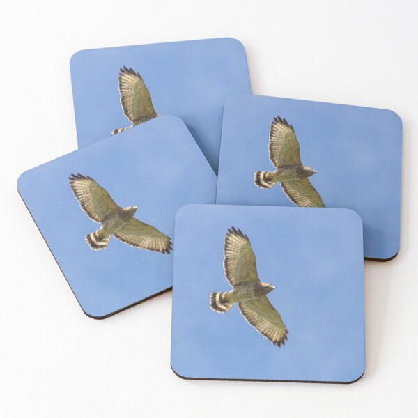 Item preview, Broad Winged Hawk designed and sold by LaurenTucker.