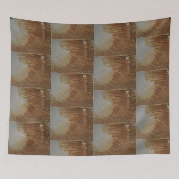 Item preview, Sunlight designed and sold by Anti-Catfish.