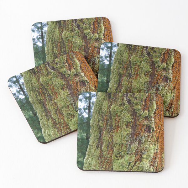 Item preview, bark with moss flora designed and sold by nikawanders.
