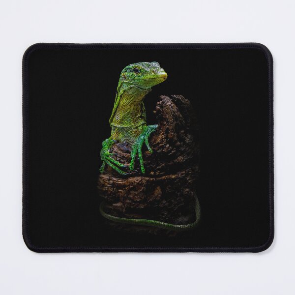 Item preview, Green Tree Monitor Modern Reptile Keeper designed and sold by JRRTs.