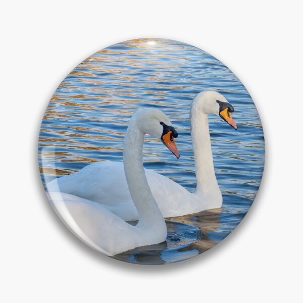 Item preview, Mute Swans in Winter with Water Reflections designed and sold by Dorset Girl.