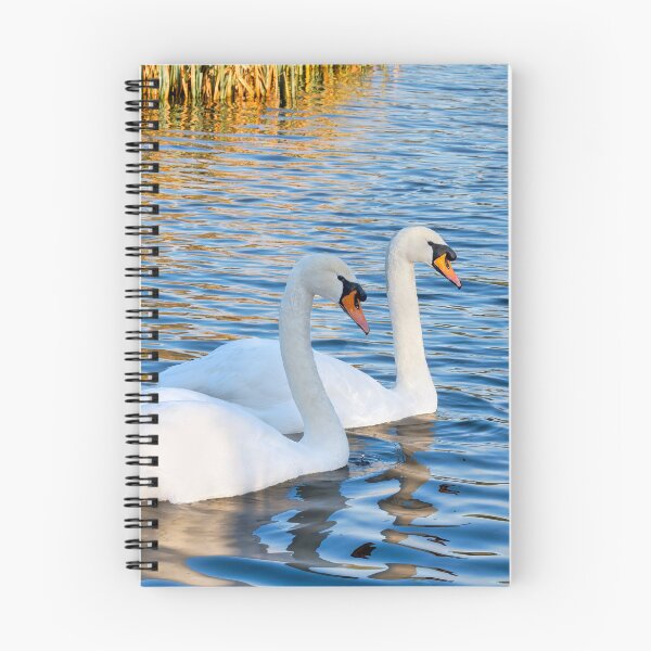 Item preview, Mute Swans in Winter with Water Reflections designed and sold by Dorset Girl.