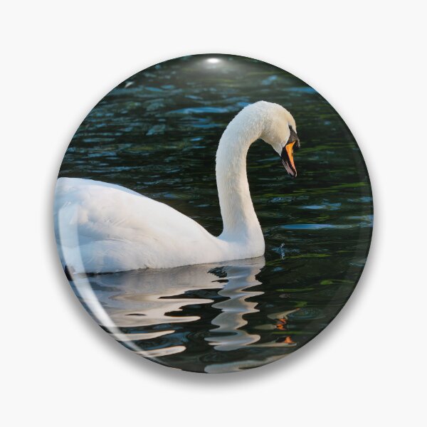Item preview, Mute Swan in Winter on a River at Chard Somerset designed and sold by Dorset Girl.