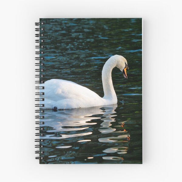 Item preview, Mute Swan in Winter on a River at Chard Somerset designed and sold by Dorset Girl.