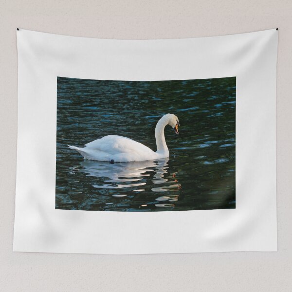 Item preview, Mute Swan in Winter on a River at Chard Somerset designed and sold by Dorset Girl.