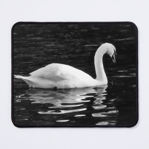 Item preview, Mute Swan in Winter on a River Chard Somerset monochrome designed and sold by Dorset Girl.