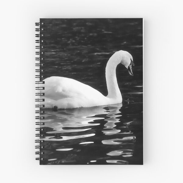 Item preview, Mute Swan in Winter on a River Chard Somerset monochrome designed and sold by Dorset Girl.