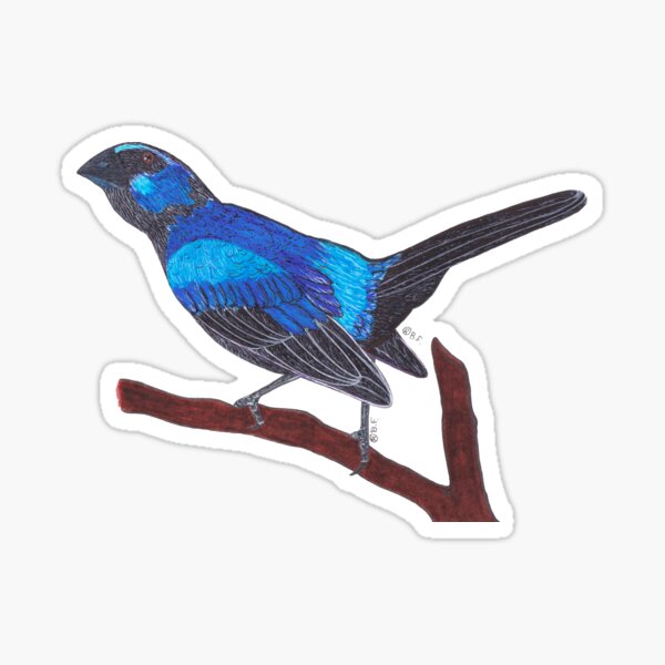 Item preview, ULTRAMARINE GROSBEAK designed and sold by BeritValk.