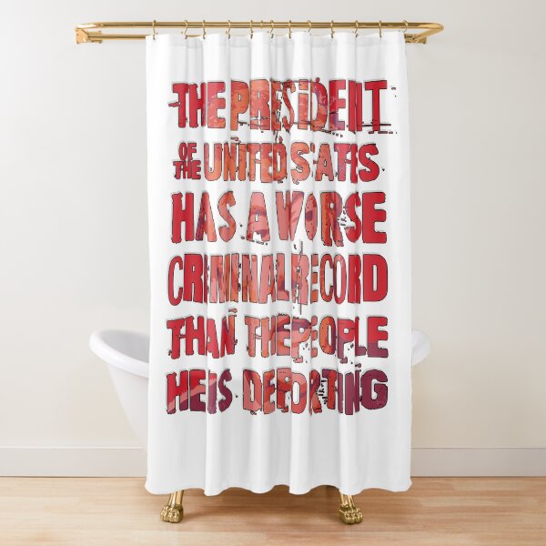 Item preview, The President of the United States has a worse criminal record designed and sold by Signs for Dark Times.