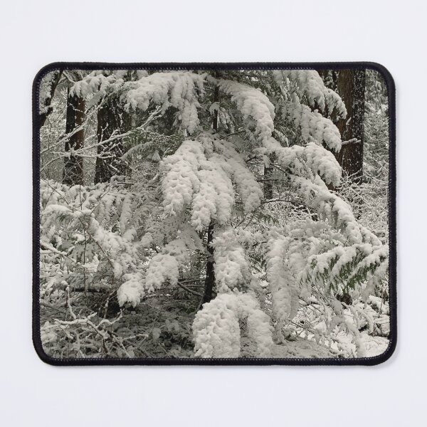 Item preview, Winter scenery in Central Park #19 designed and sold by veraD58.