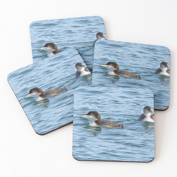 Item preview, The Great Northern Diver (Gavia immer), also known as the Common Loon,  designed and sold by kathleenjean.