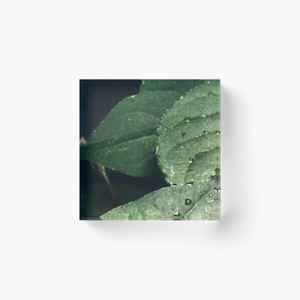 Item preview, Geometric Leaf Patterns for Contemporary Style designed and sold by sabdatia11.