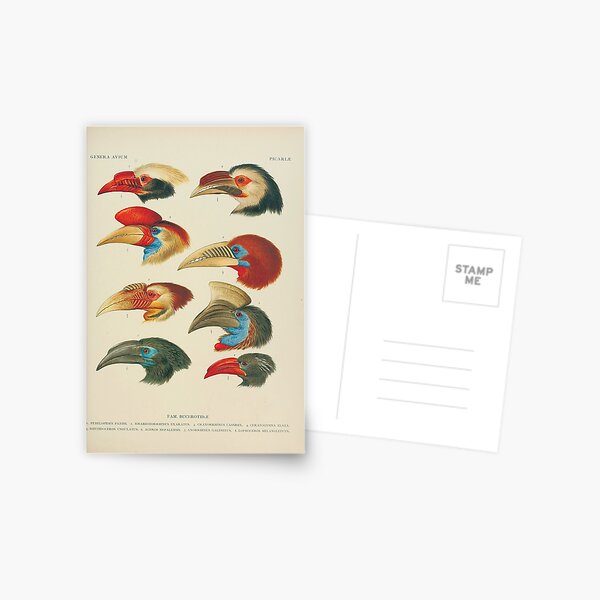 Artikel-Vorschau von Vintage Nashornvögel wissenschaftliche Illustration, designt und verkauft von InnerCitadel.