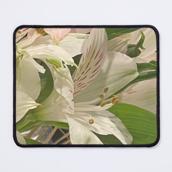 Item preview, White Alstroemeria Photograph designed and sold by Shannon Greve.