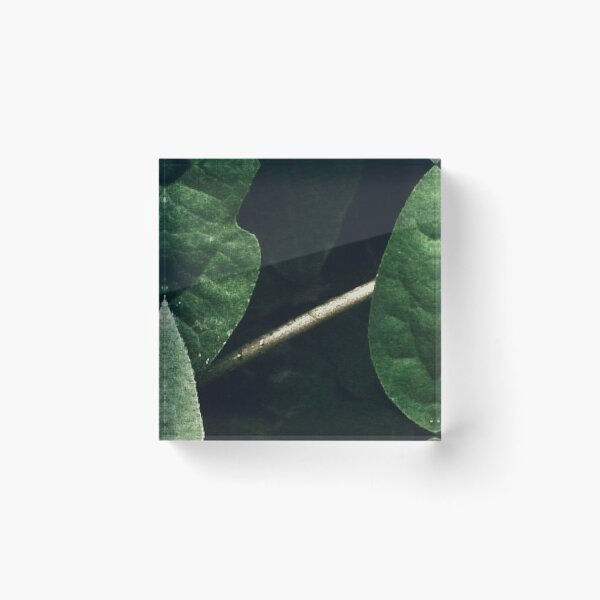 Item preview, Subtle Green Leaves for Minimalist Charm designed and sold by sabdatia11.