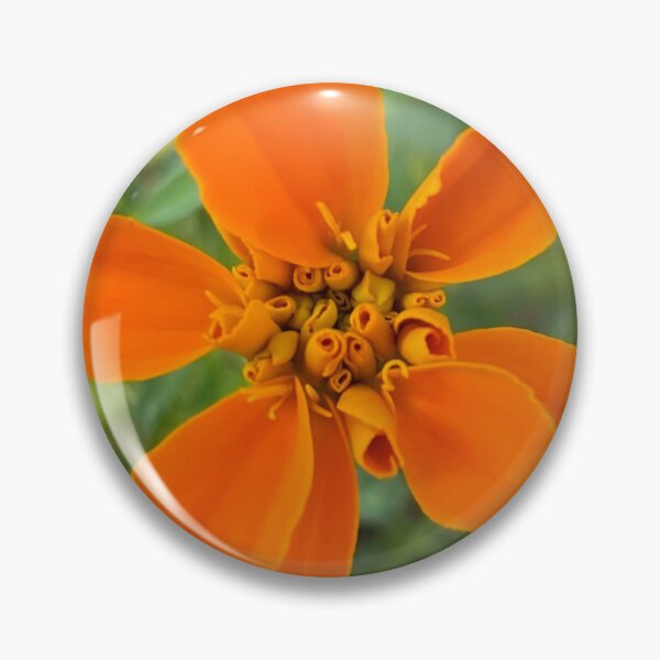 Item preview, Orange Marigold Photograph designed and sold by Shannon Greve.
