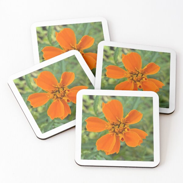 Item preview, Orange Marigold Photograph designed and sold by Shannon Greve.