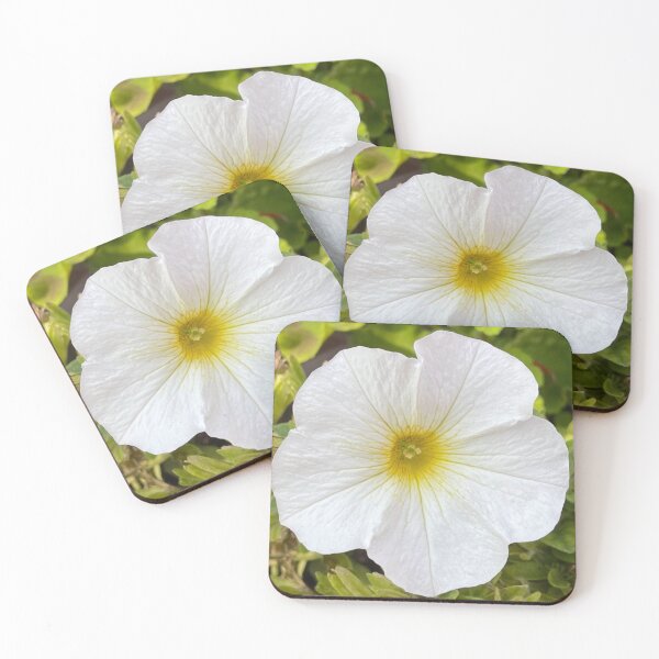 Item preview, White Petunia Photograph designed and sold by Shannon Greve.