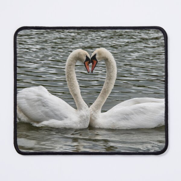 Item preview, swan in love,Valentine's designed and sold by kathleenjean.