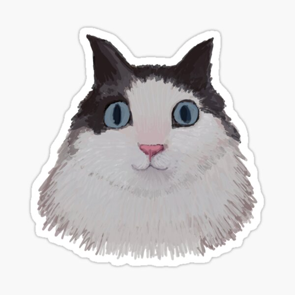 Vista previa del artículo con la obra «Pegatina de gato Ragdoll tierno y esponjoso», diseñado y vendido por FoggyFablesArt.