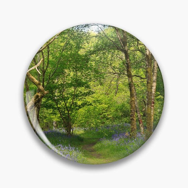 Item preview, Bluebells in Scotland designed and sold by maureen bracewell.