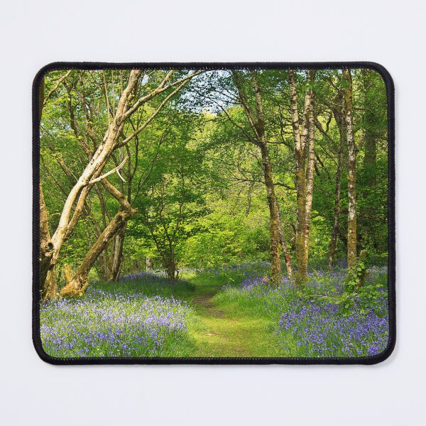 Item preview, Bluebells in Scotland designed and sold by maureen bracewell.