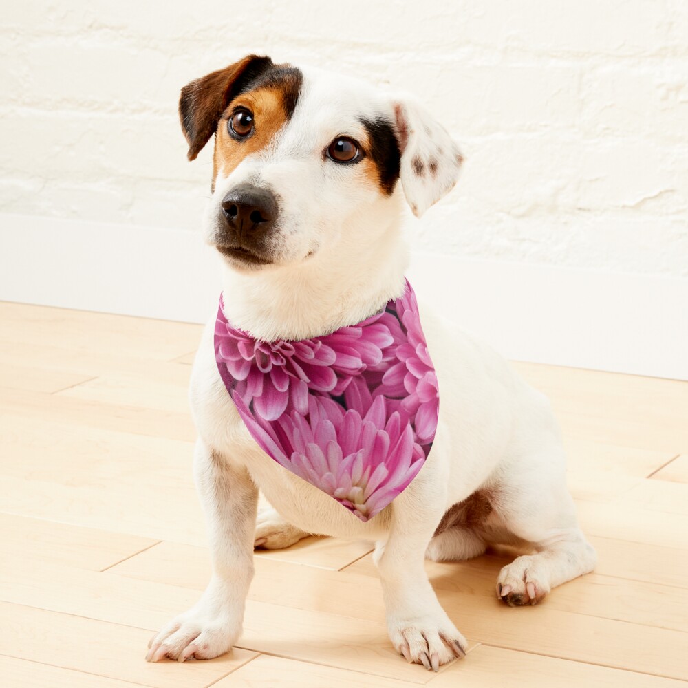 Item preview, Pet Bandana designed and sold by DazzDesigns.