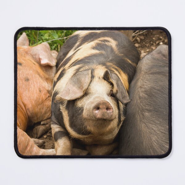 Item preview, Pudge the Pig designed and sold by Jane Stanley Photography.