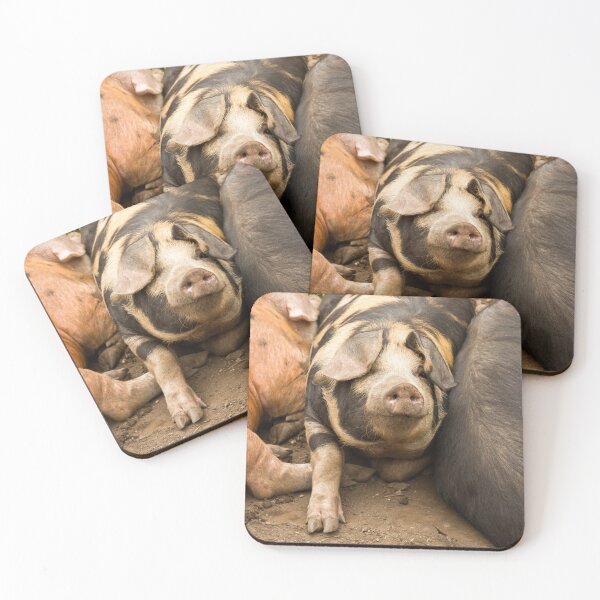 Item preview, Pudge the Pig designed and sold by Jane Stanley Photography.