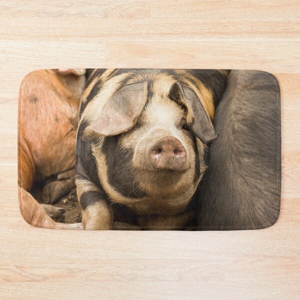 Item preview, Pudge the Pig designed and sold by Jane Stanley Photography.