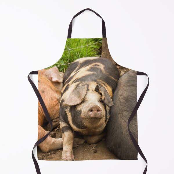 Item preview, Pudge the Pig designed and sold by Jane Stanley Photography.