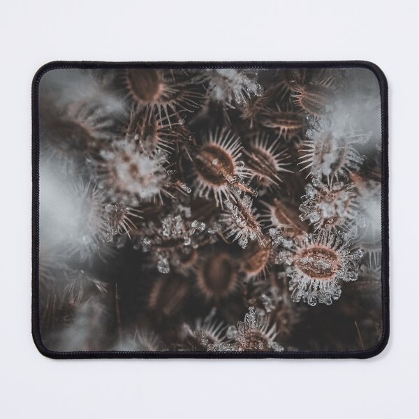 Item preview, Wild Carrot Macro designed and sold by FrauKausE.