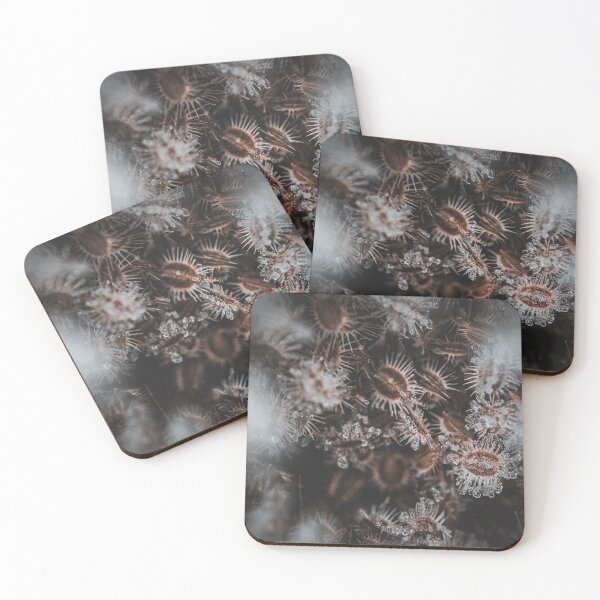 Item preview, Wild Carrot Macro designed and sold by FrauKausE.