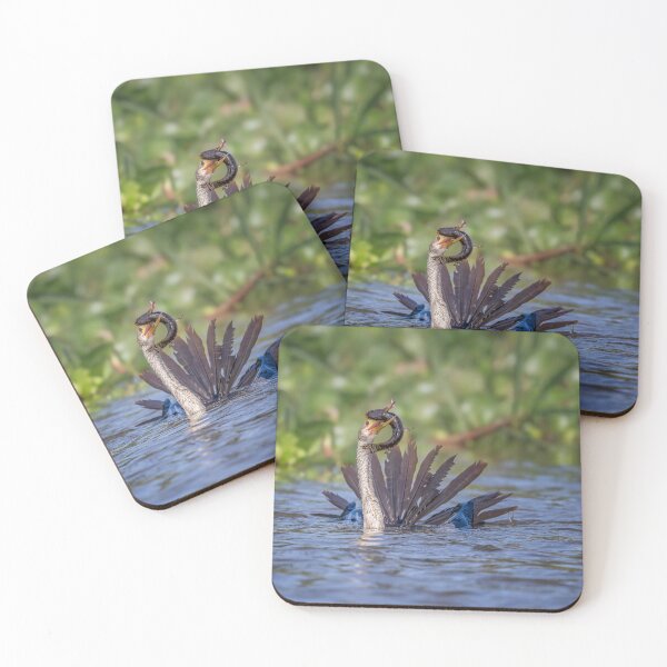 Item preview, Anhinga Wrestles With Its Prey Pantanal Brazil designed and sold by PhotoArt by Joan Carroll.