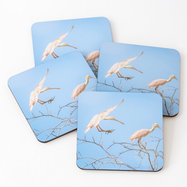Item preview, Two Roseate Spoonbills Pantanal Brazil designed and sold by PhotoArt by Joan Carroll.