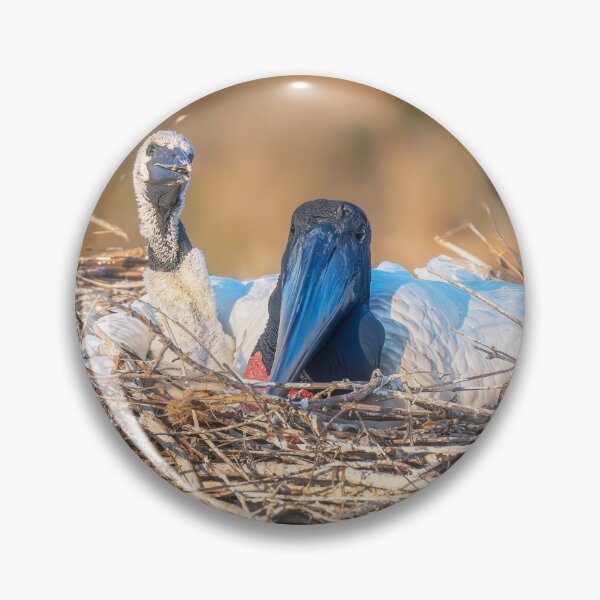 Item preview, Jabiru Adult and Chick in Nest Pantanal Brazil designed and sold by PhotoArt by Joan Carroll.