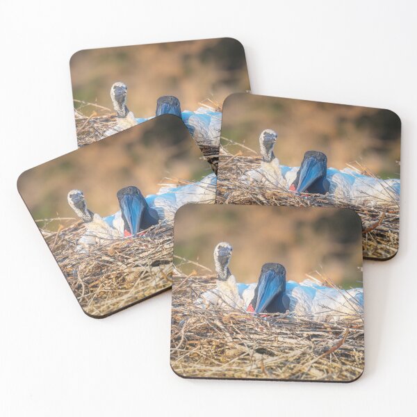 Item preview, Jabiru Adult and Chick in Nest Pantanal Brazil designed and sold by PhotoArt by Joan Carroll.