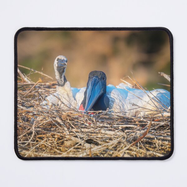 Item preview, Jabiru Adult and Chick in Nest Pantanal Brazil designed and sold by PhotoArt by Joan Carroll.