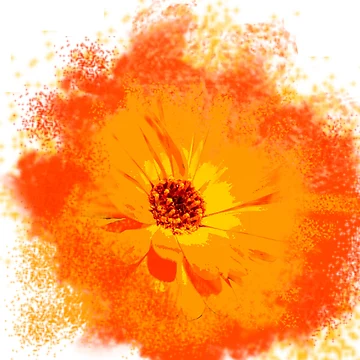 Artwork thumbnail, Exploding Flower by Cedesstuff