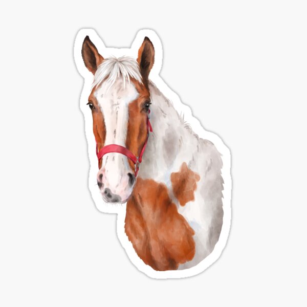 Aperçu de l'œuvre Tête de cheval Tobiano dans un licol rouge créée et vendue par AnnaHlushkoArt.