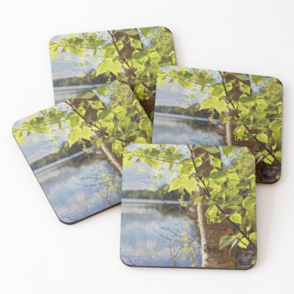 Item preview, Birch on Lakeside - evalaaksart - A piece of Finland designed and sold by evalaaksart.