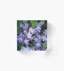 Periwinkle Acrylic Block